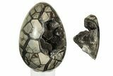 Septarian Dragon Egg Geode - Removable Section #219095-2